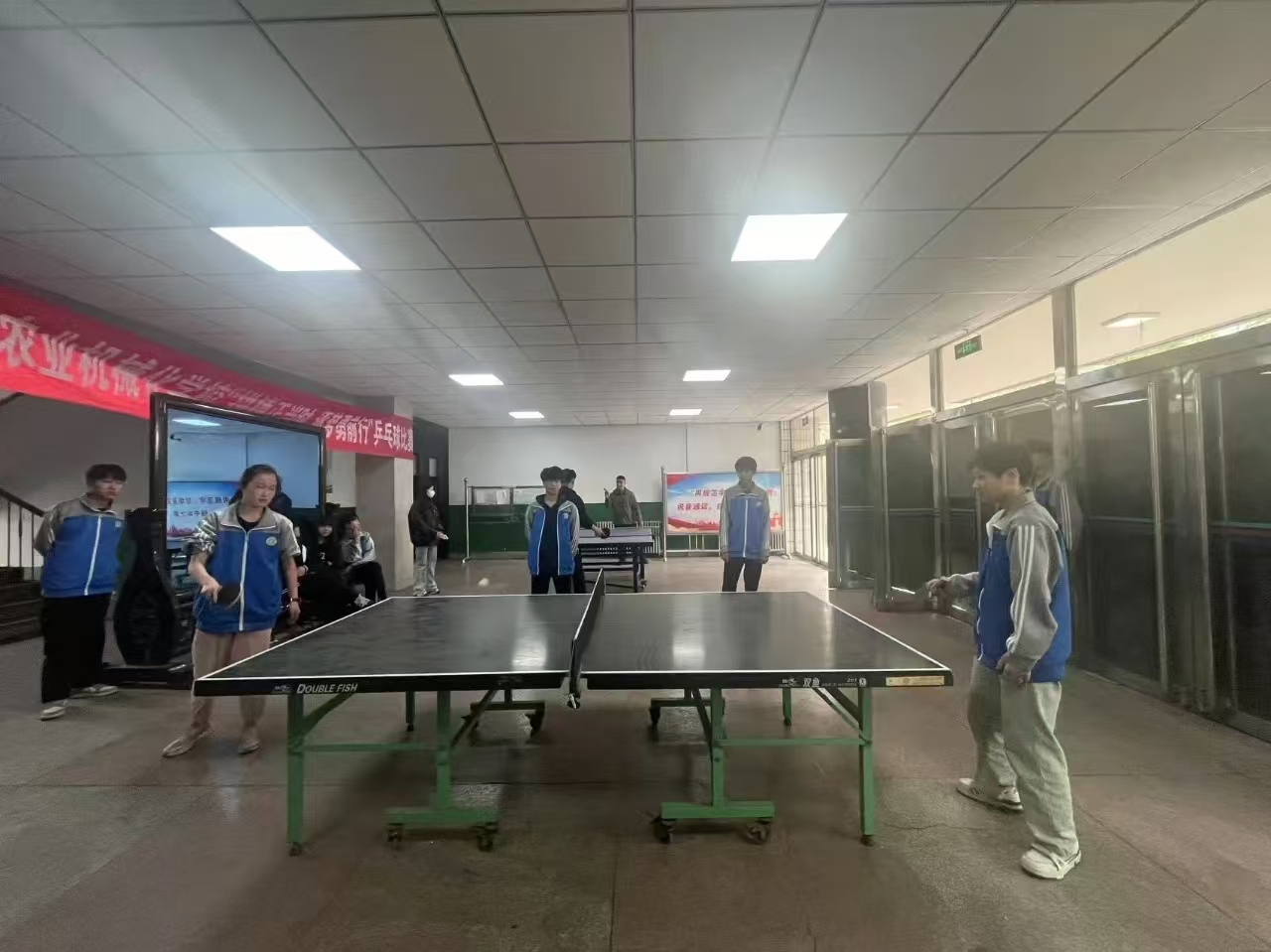 乒乓2.jpg